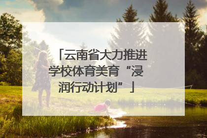 云南省大力推进学校体育美育“浸润行动计划”