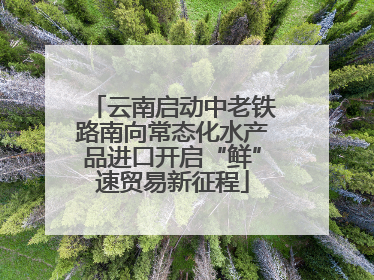 云南启动中老铁路南向常态化水产品进口开启“鲜”速贸易新征程