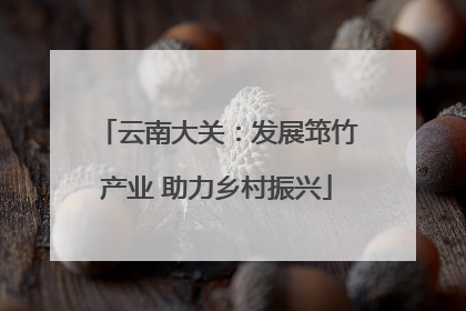 云南大关：发展筇竹产业 助力乡村振兴