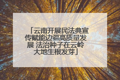 云南开展民法典宣传赋能边疆高质量发展 法治种子在云岭大地生根发芽