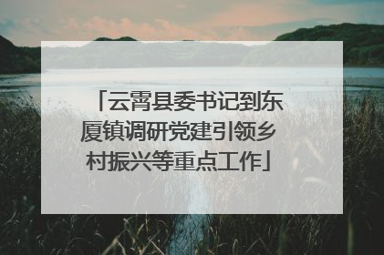 云霄县委书记到东厦镇调研党建引领乡村振兴等重点工作