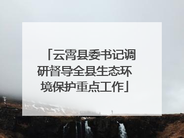 云霄县委书记调研督导全县生态环境保护重点工作