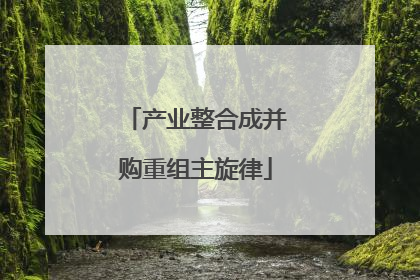 产业整合成并购重组主旋律