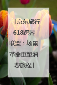 京东旅行618跨界联盟：场景革命重塑消费旅程