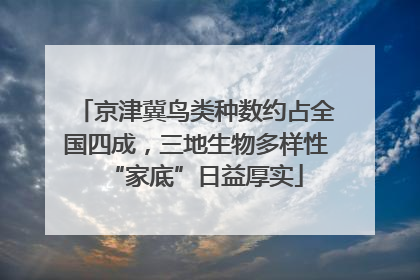 京津冀鸟类种数约占全国四成，三地生物多样性“家底”日益厚实