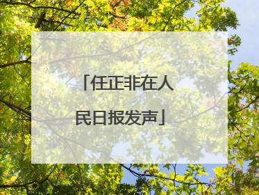 任正非在人民日报发声