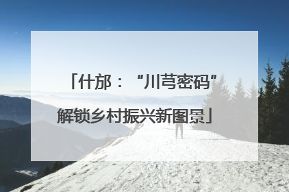 什邡：“川芎密码”解锁乡村振兴新图景