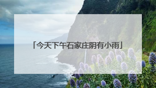 今天下午石家庄阴有小雨