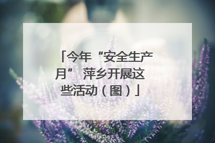 今年“安全生产月” 萍乡开展这些活动（图）