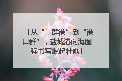 从“一群港”到“港口群”，盐城港向海图强书写崛起壮歌