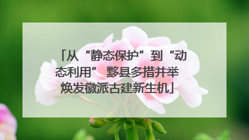 从“静态保护”到“动态利用” 黟县多措并举焕发徽派古建新生机