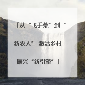 从“飞手荒”到“新农人” 激活乡村振兴“新引擎”