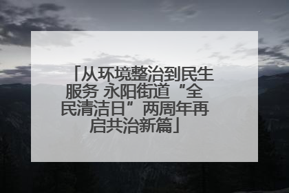 从环境整治到民生服务 永阳街道“全民清洁日”两周年再启共治新篇