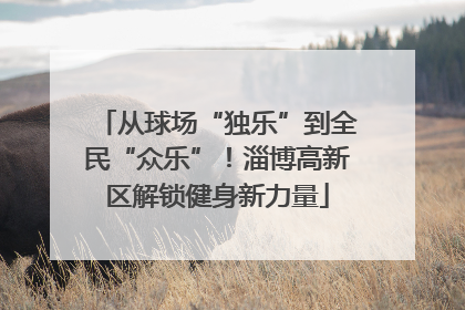 从球场“独乐”到全民“众乐”！淄博高新区解锁健身新力量