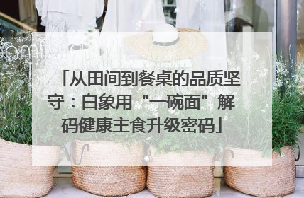 从田间到餐桌的品质坚守：白象用“一碗面”解码健康主食升级密码