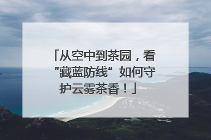 从空中到茶园，看“藏蓝防线”如何守护云雾茶香！