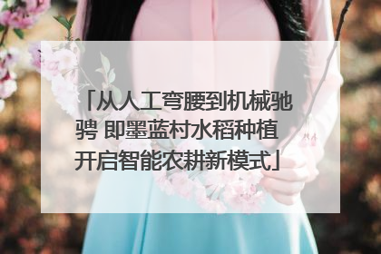 从人工弯腰到机械驰骋 即墨蓝村水稻种植开启智能农耕新模式