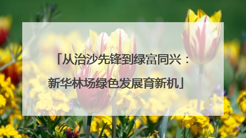 从治沙先锋到绿富同兴：新华林场绿色发展育新机