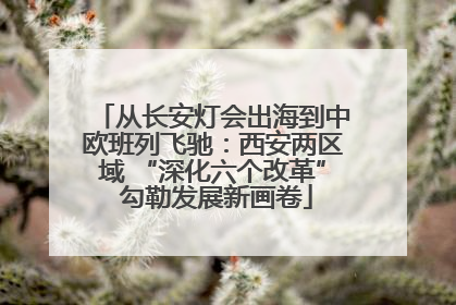从长安灯会出海到中欧班列飞驰：西安两区域 “深化六个改革” 勾勒发展新画卷