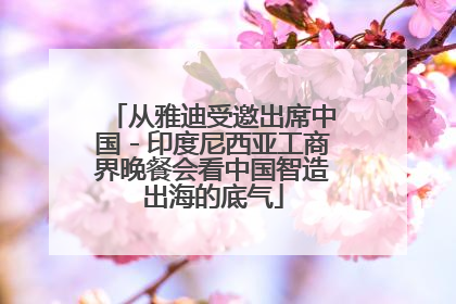 从雅迪受邀出席中国－印度尼西亚工商界晚餐会看中国智造出海的底气