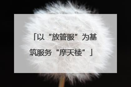 以“放管服”为基筑服务“摩天楼”