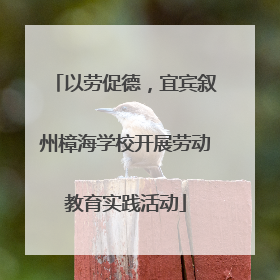 以劳促德，宜宾叙州樟海学校开展劳动教育实践活动