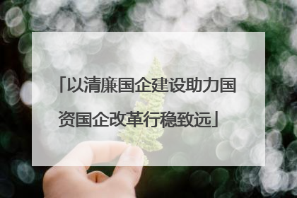以清廉国企建设助力国资国企改革行稳致远