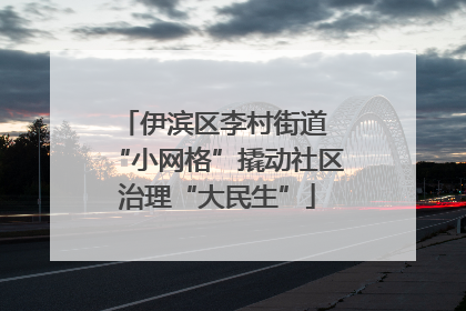 伊滨区李村街道 “小网格”撬动社区治理“大民生”