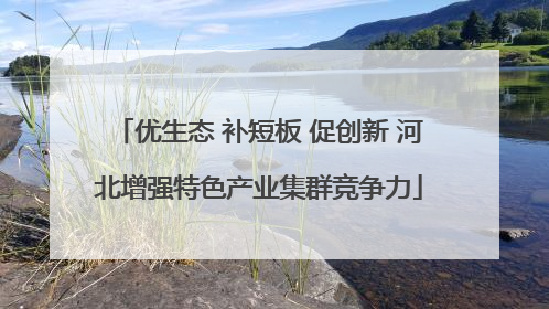 优生态 补短板 促创新 河北增强特色产业集群竞争力