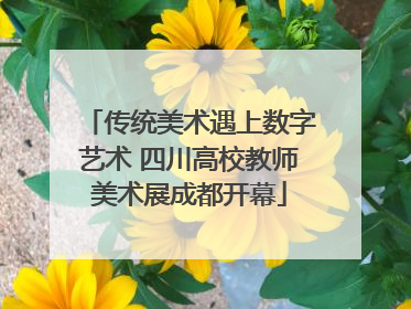 传统美术遇上数字艺术 四川高校教师美术展成都开幕