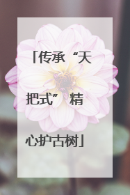 传承“天把式” 精心护古树