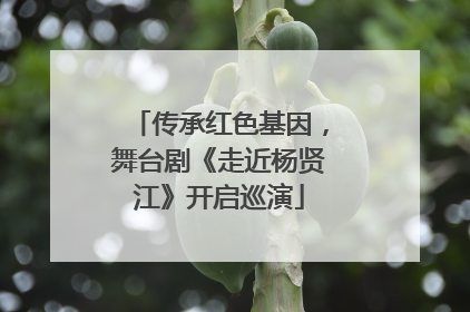 传承红色基因，舞台剧《走近杨贤江》开启巡演