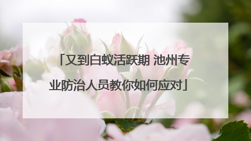 又到白蚁活跃期 池州专业防治人员教你如何应对