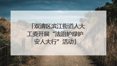 双清区滨江街道人大工委开展“法治护绿护安人大行”活动