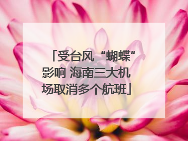 受台风“蝴蝶”影响 海南三大机场取消多个航班