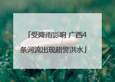 受降雨影响 广西4条河流出现超警洪水