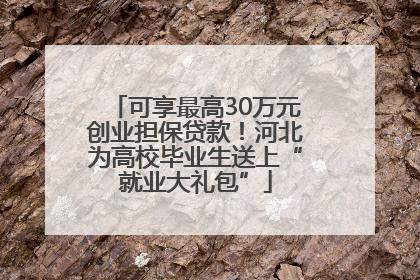 可享最高30万元创业担保贷款！河北为高校毕业生送上“就业大礼包”