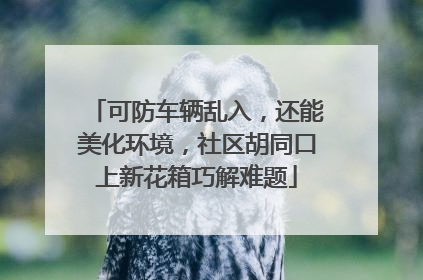 可防车辆乱入，还能美化环境，社区胡同口上新花箱巧解难题