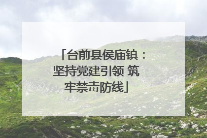 台前县侯庙镇：坚持党建引领 筑牢禁毒防线