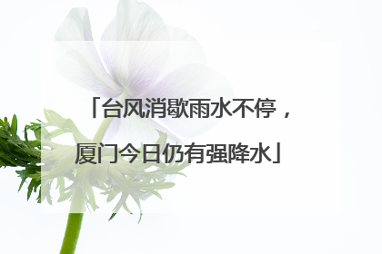 台风消歇雨水不停，厦门今日仍有强降水