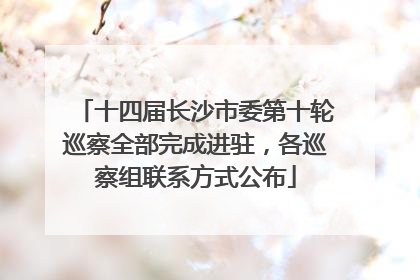 十四届长沙市委第十轮巡察全部完成进驻，各巡察组联系方式公布