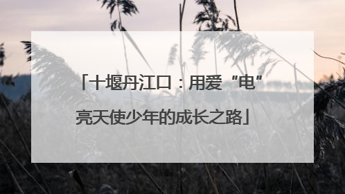 十堰丹江口：用爱“电”亮天使少年的成长之路