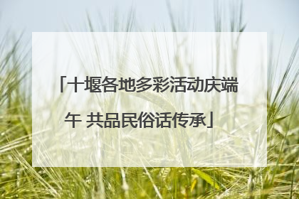 十堰各地多彩活动庆端午 共品民俗话传承