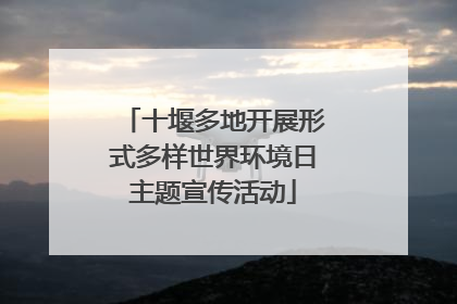十堰多地开展形式多样世界环境日主题宣传活动