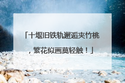 十堰旧铁轨邂逅夹竹桃，繁花似画莫轻触！