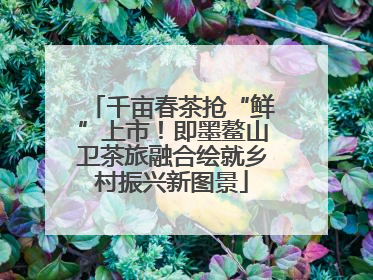 千亩春茶抢“鲜”上市！即墨鳌山卫茶旅融合绘就乡村振兴新图景