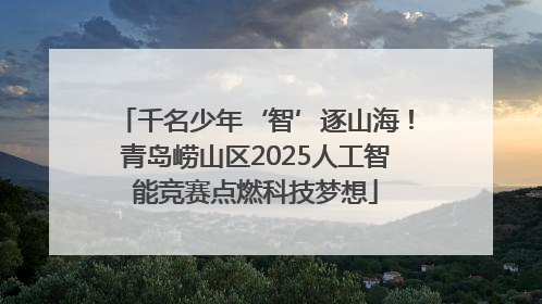 千名少年‘智’逐山海！青岛崂山区2025人工智能竞赛点燃科技梦想