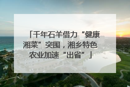 千年石羊借力“健康湘菜”突围，湘乡特色农业加速“出省”