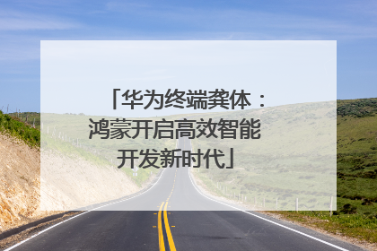 华为终端龚体：鸿蒙开启高效智能开发新时代