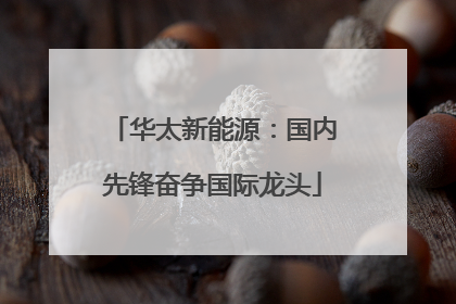 华太新能源：国内先锋奋争国际龙头